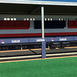 Dugout Padding Image