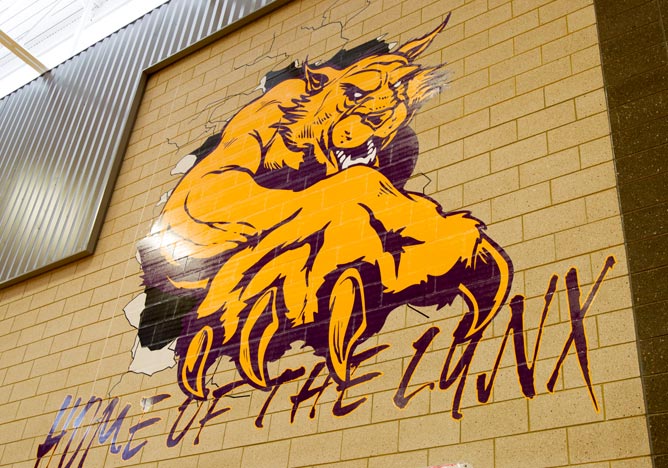 Custom Colors & Sizes