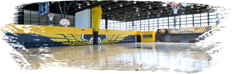 Picture of custom padding in gym.