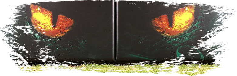 Backstop Padding Image