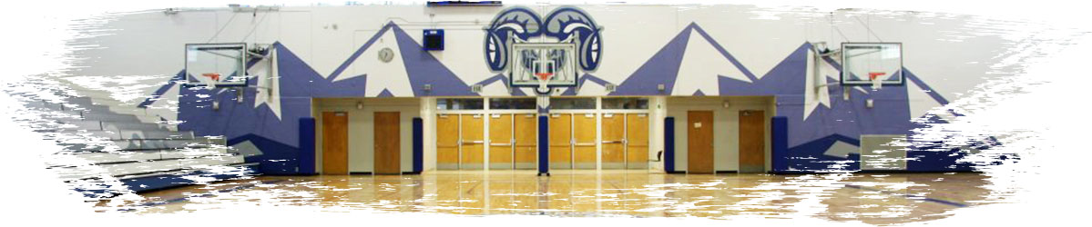 Image Of Gym Padding